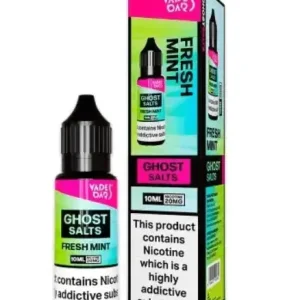 Fresh Mint Ghost Nic Salts Vape Bars