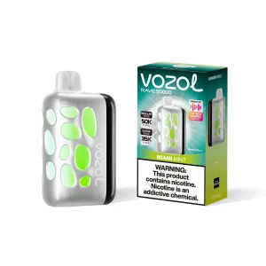 Miami Mint - Vozol Rave 50000 Disposable